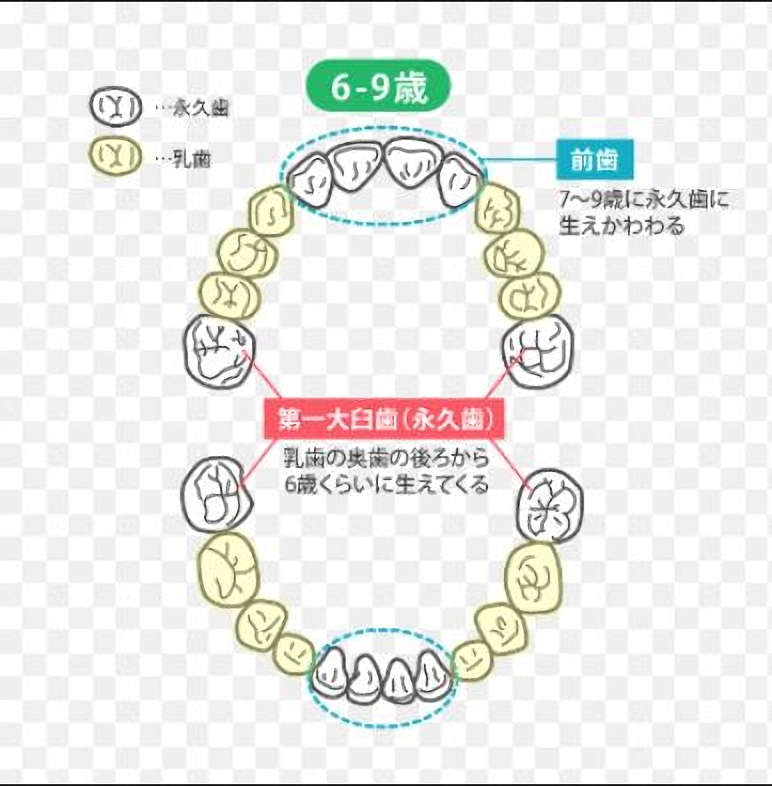 マウスピース矯正 富田歯科医院