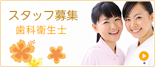 スタッフ募集