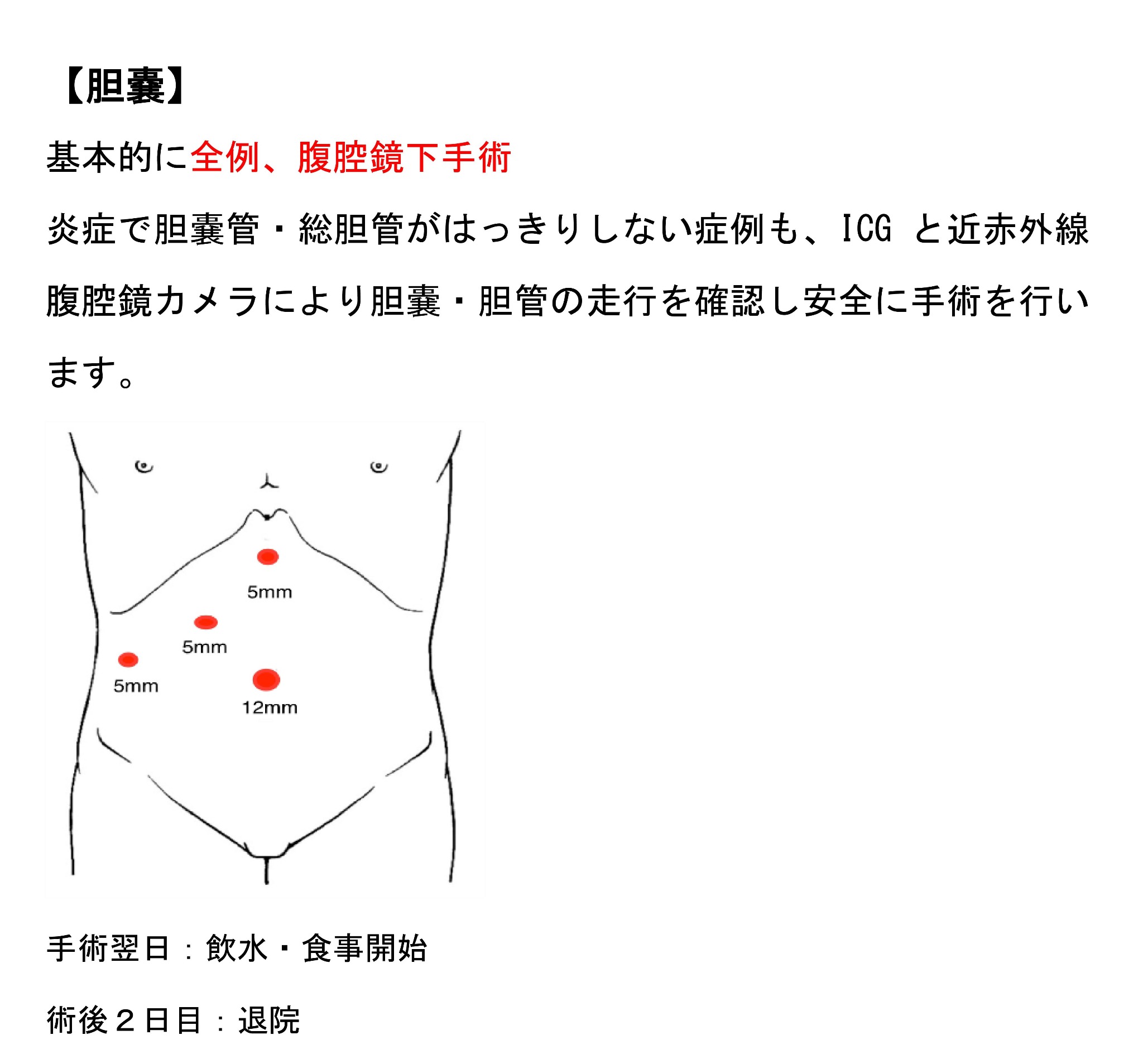 【胆嚢】