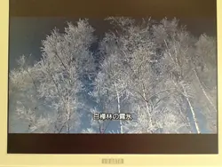 癒やし環境のある歯科医院