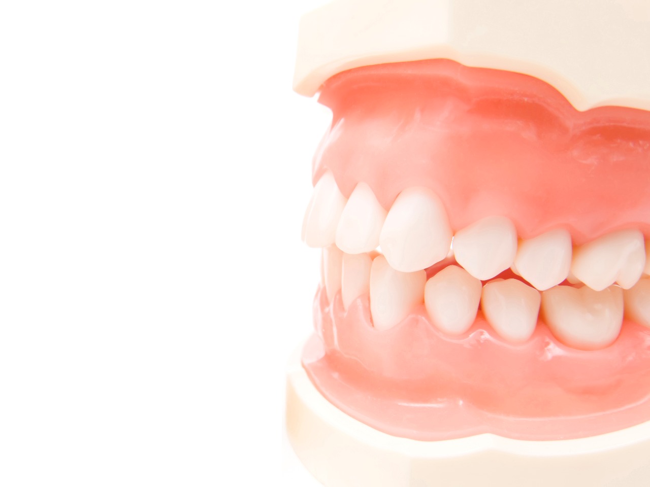 装着感も見た目も自然なBPSエステティックデンチャー