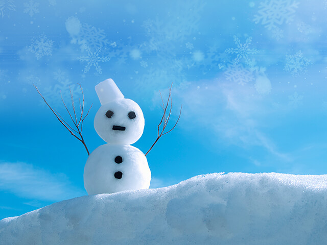 一緒にオススメする落雪防止ネット