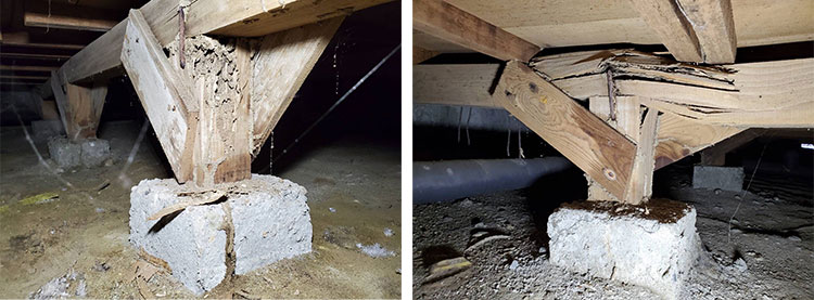 床下の白アリ被害