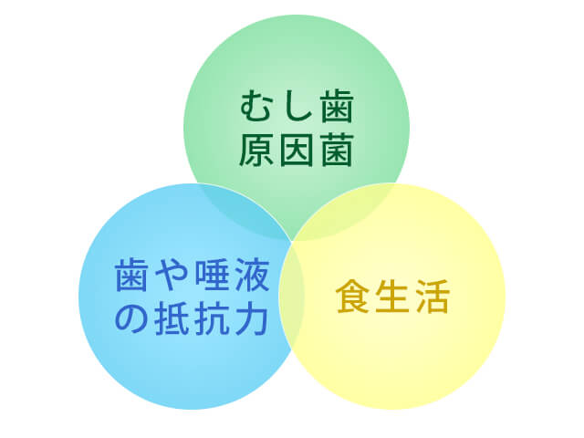 むし歯の原因