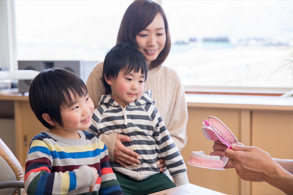 ムーシールド（受け口の早期改善装置）
