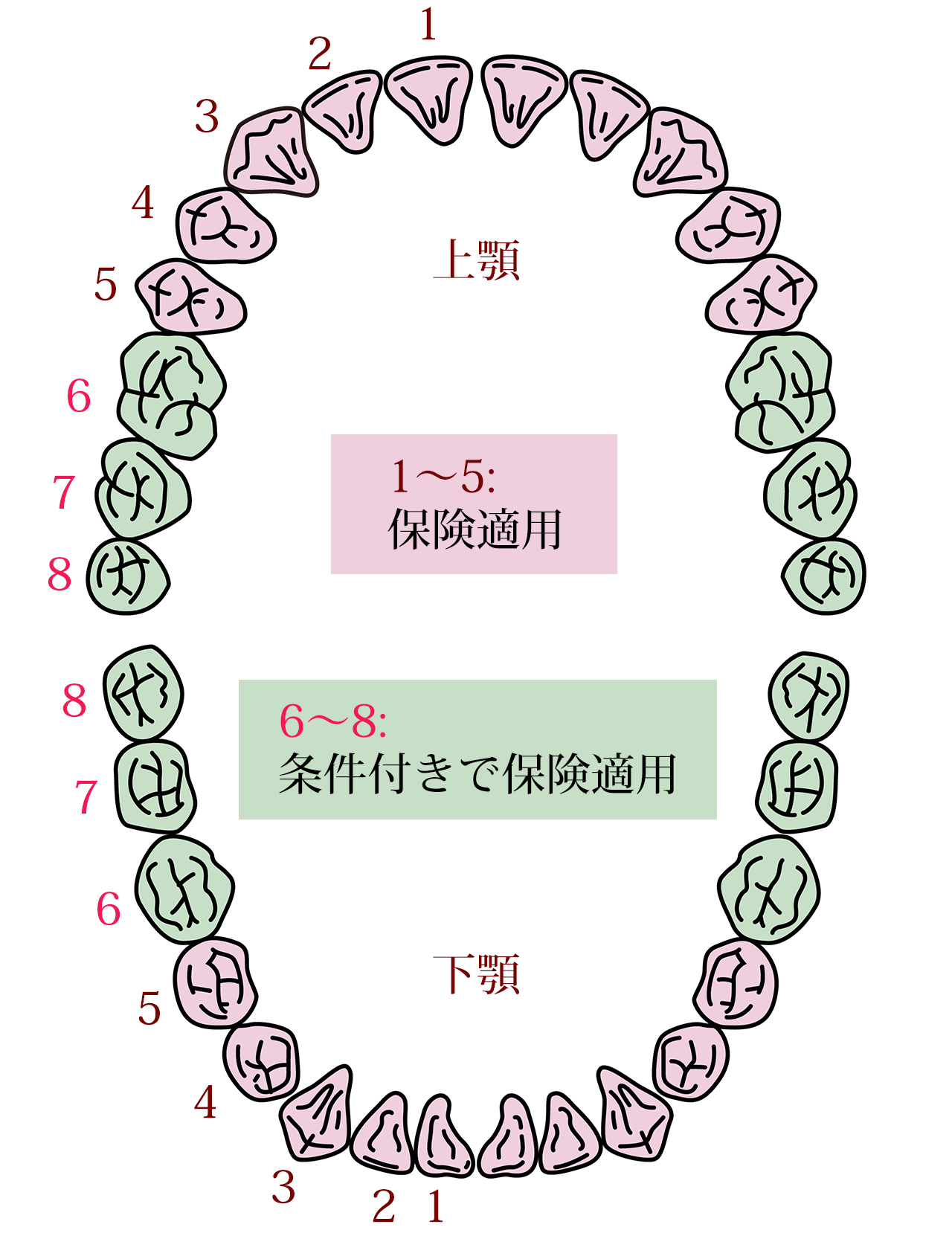 サンプル画像