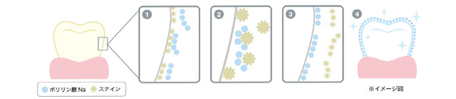 スーパーポリリンホワイトニングの仕組み