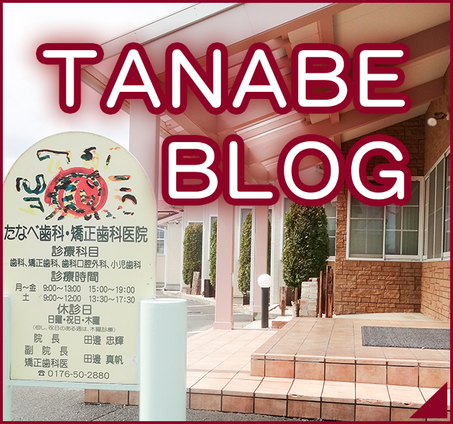 TANABE BLOG