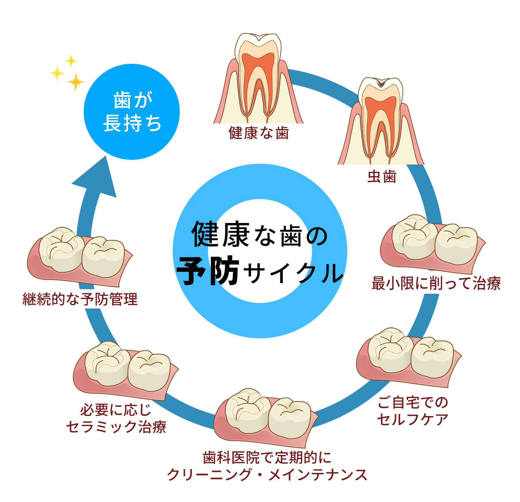 サンプル画像