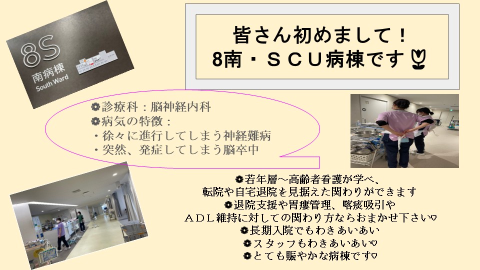 ８南