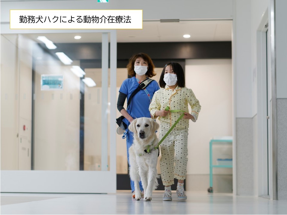 勤務犬