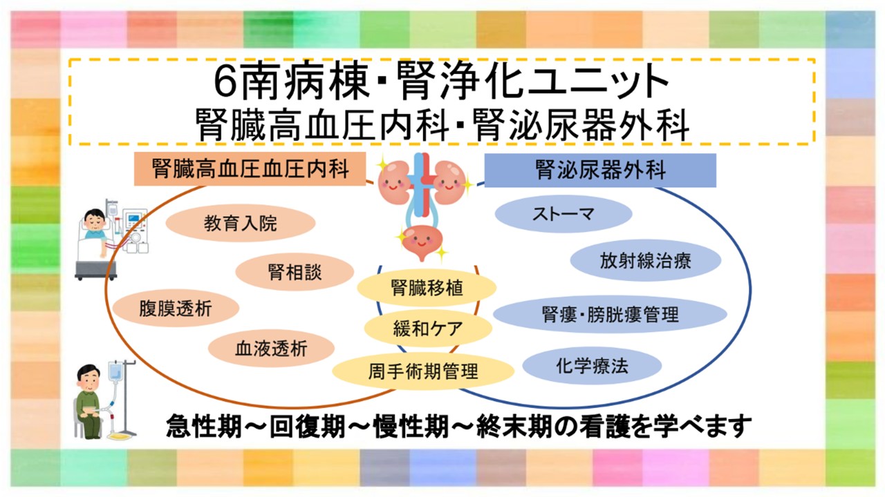 ６南