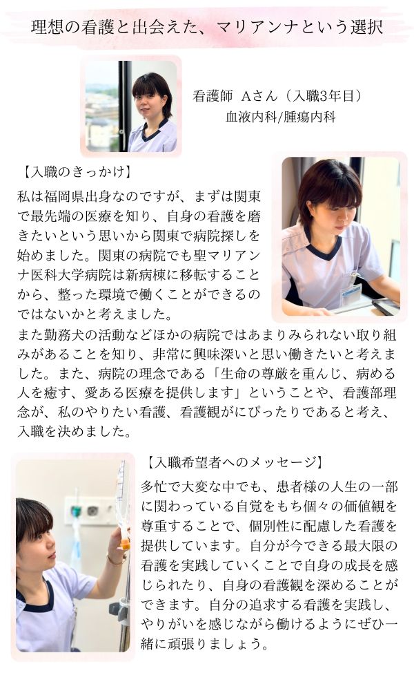 サンプル画像