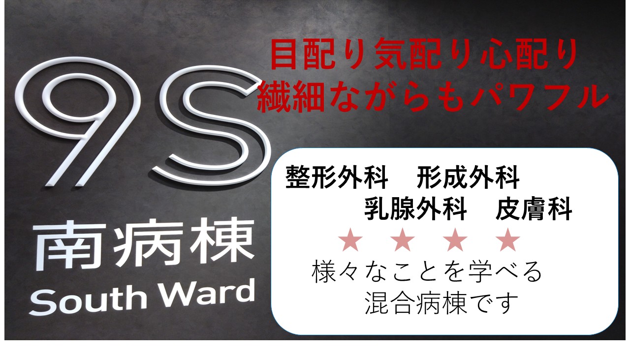 ９南