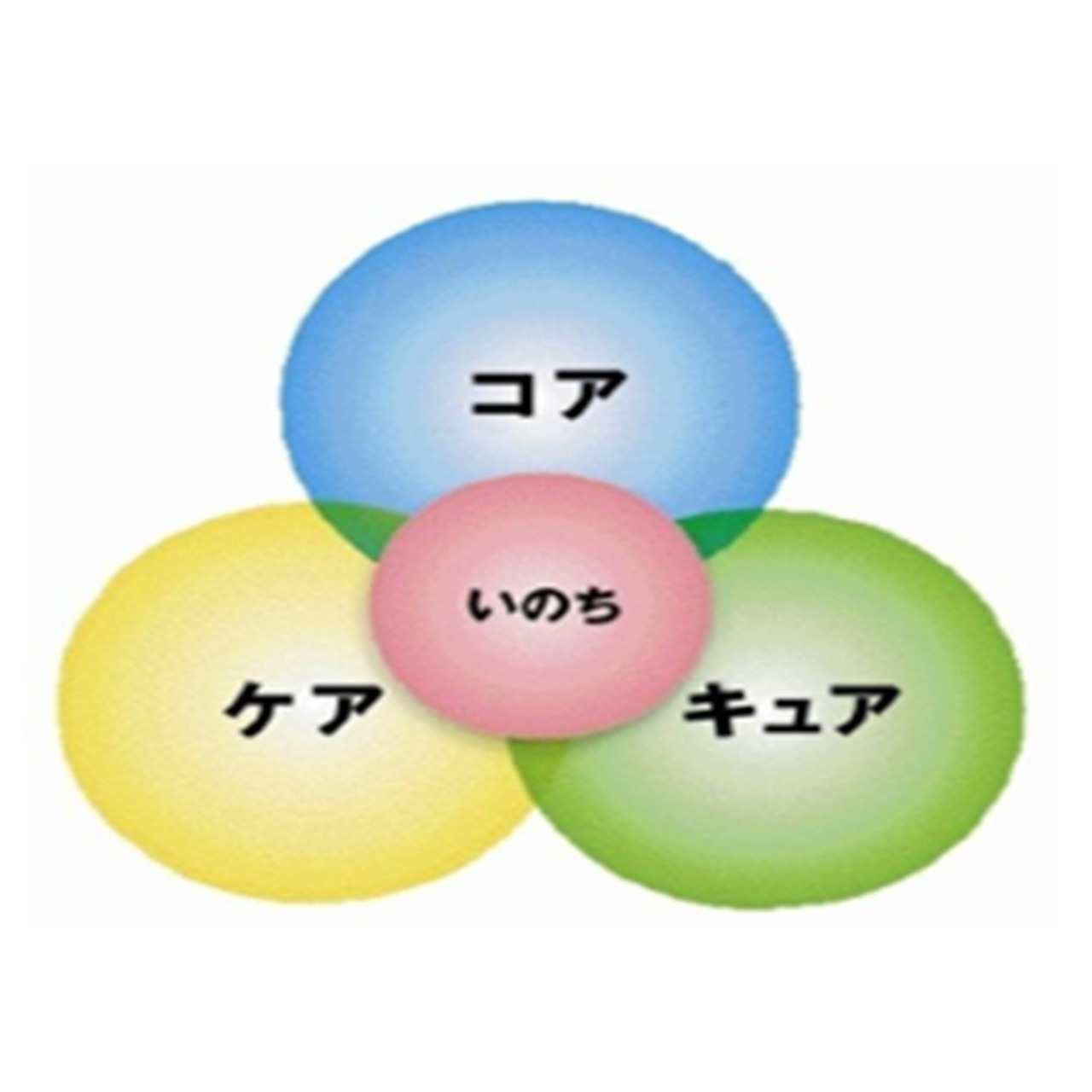 看護部の基本理念
