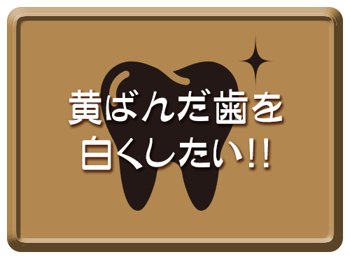 インプラントってどんな治療？