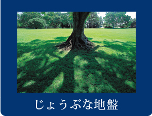 じょうぶな地盤