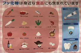 フッ素が含まれる身近なもの