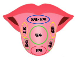 舌の味覚を感じるところは – 舌 辛味を感じる部分 : 味覚受容体とは？～ヒトが味を感じるメカニズム～ – TSAUXR
