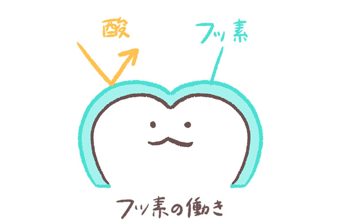 フッ素の虫歯予防効果とは?