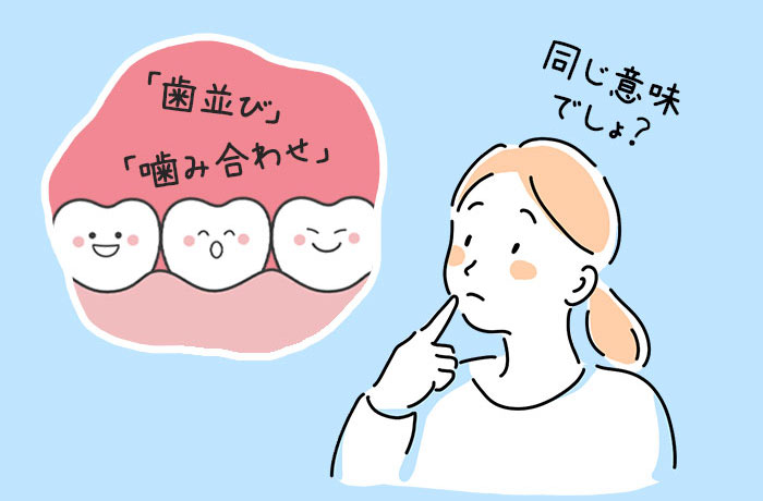 歯並びと噛み合わせの違いとは?
