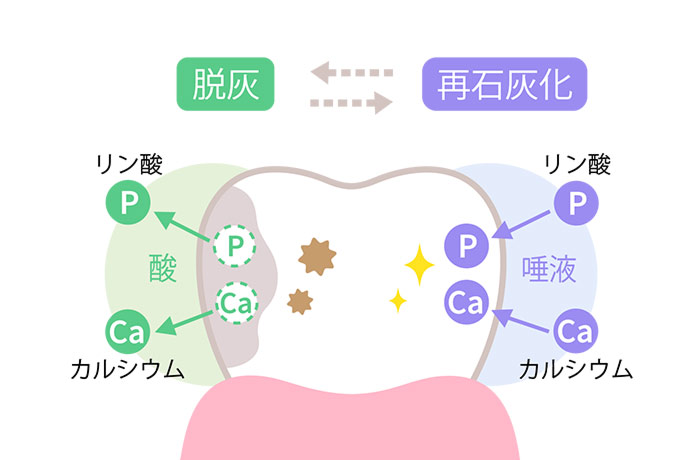 再石灰化を助ける働き