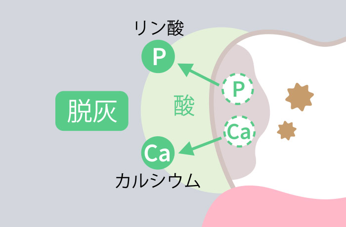 お口の中が酸性に傾くと歯が溶けやすくなる 