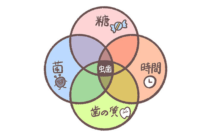 虫歯とはどんな病気?