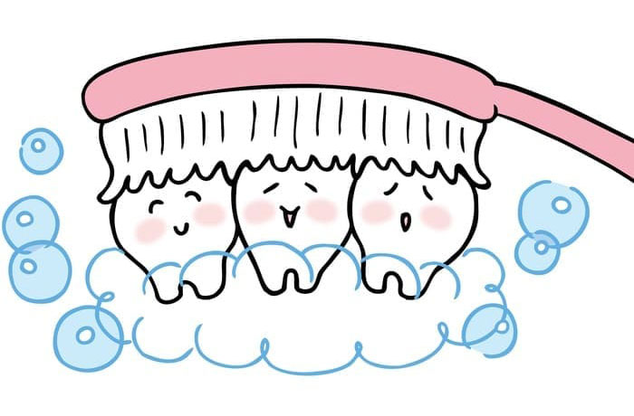 翌日からの歯磨きの始め方