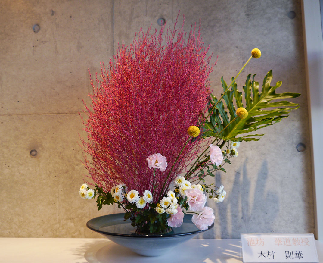 2025-11-04『紅色に輝く』