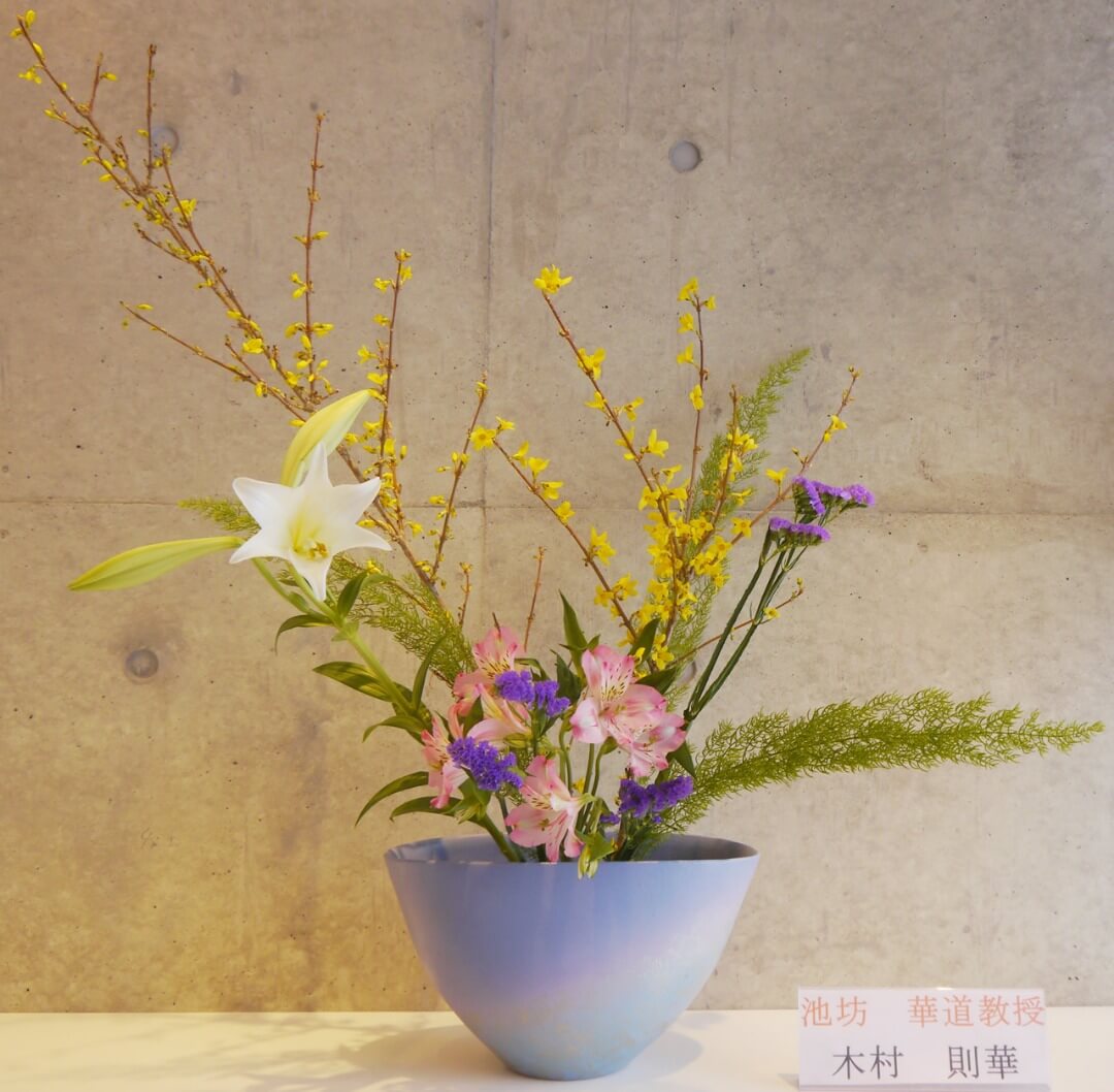 2018-3-23『春の花』