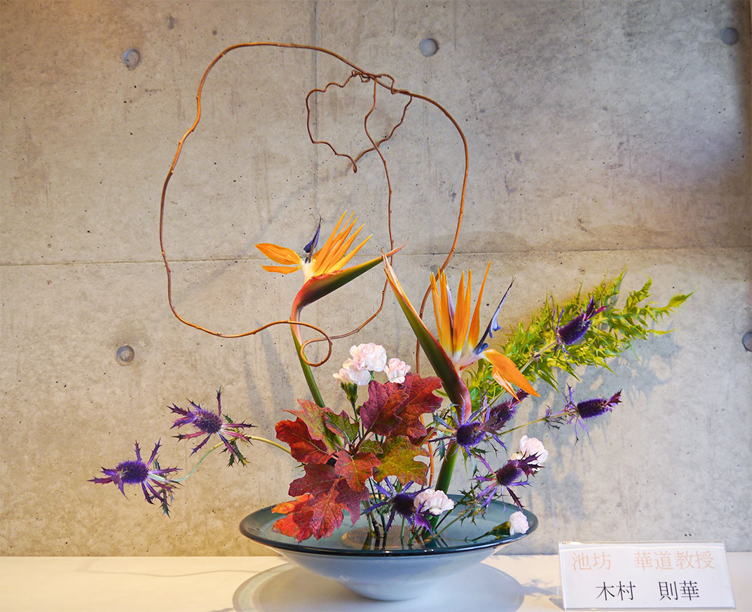 2025-10-28『深まる秋』