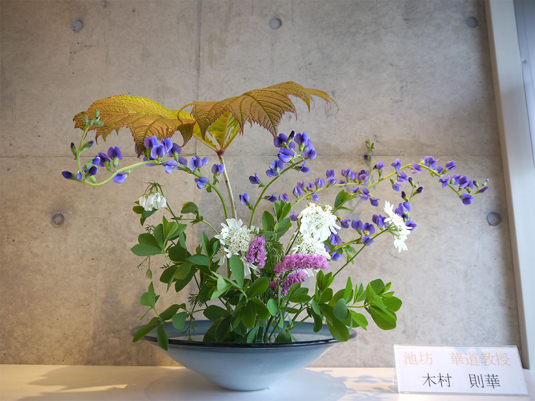 2025-6-11『水無月の花』