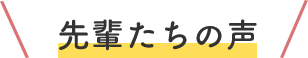 先輩たちの声