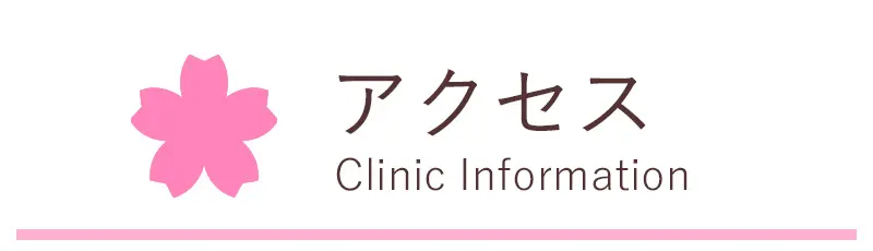 アクセス