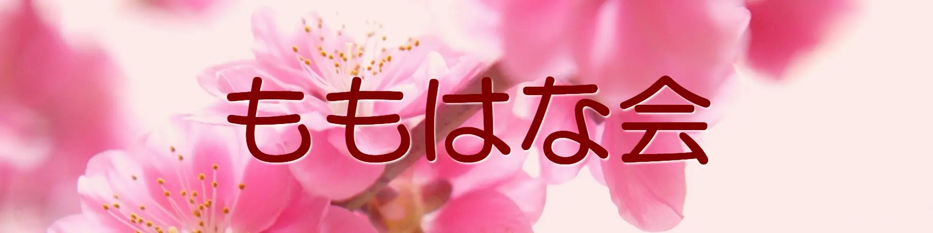 ももはな会