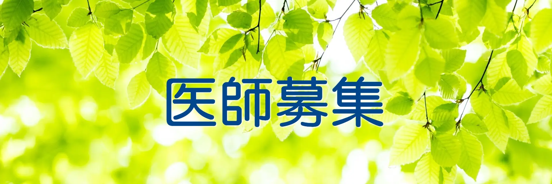 職員募集
