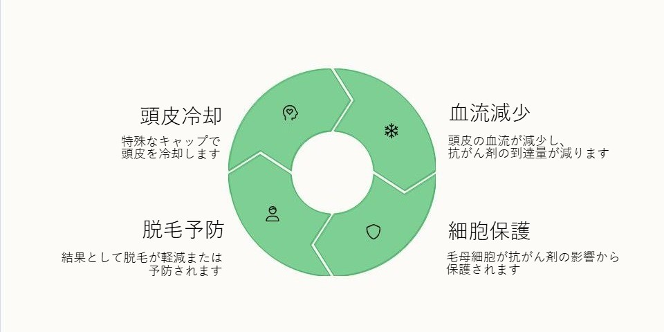 頭皮冷却療法の仕組み