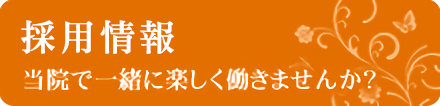 採用情報